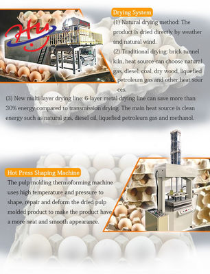 7000 قطعة / ساعة علبة البيض ماكينة صنع لب الورق نظام صب الزجاجات خط إنتاج صينية